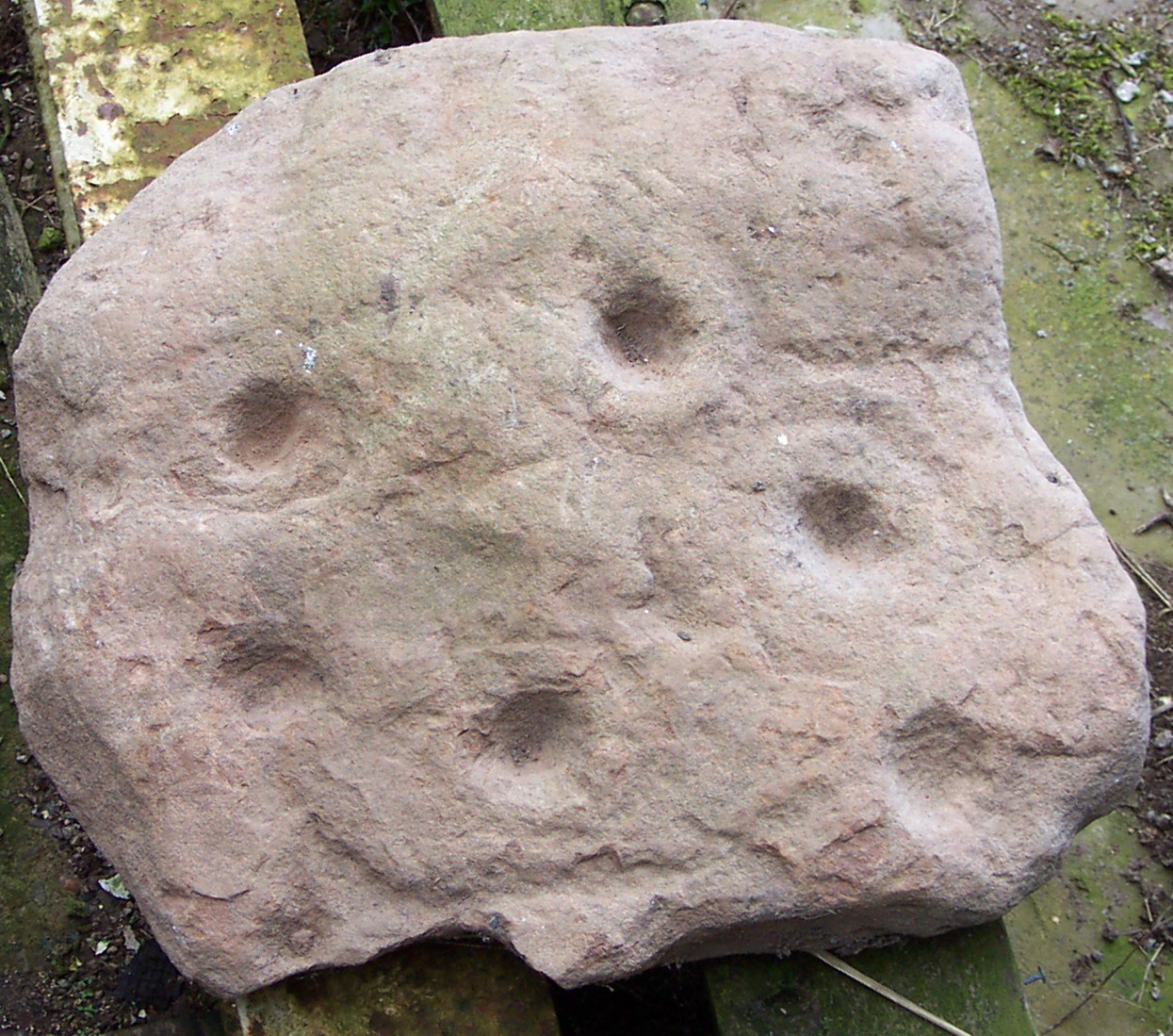 cup and ring markings